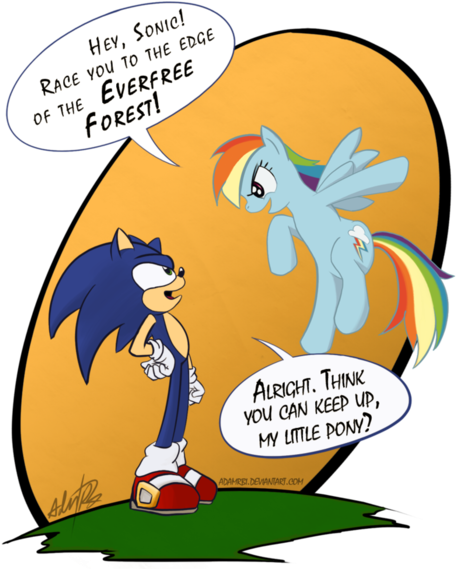 Adamrbi, Dead Source, Everfree Forest, Race, Rainbow - Rainbow Dash And Sonic (525x600)