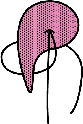 Plankton From 0,0002 To 0,002 Mm - Plankton From 0,0002 To 0,002 Mm (469x469)