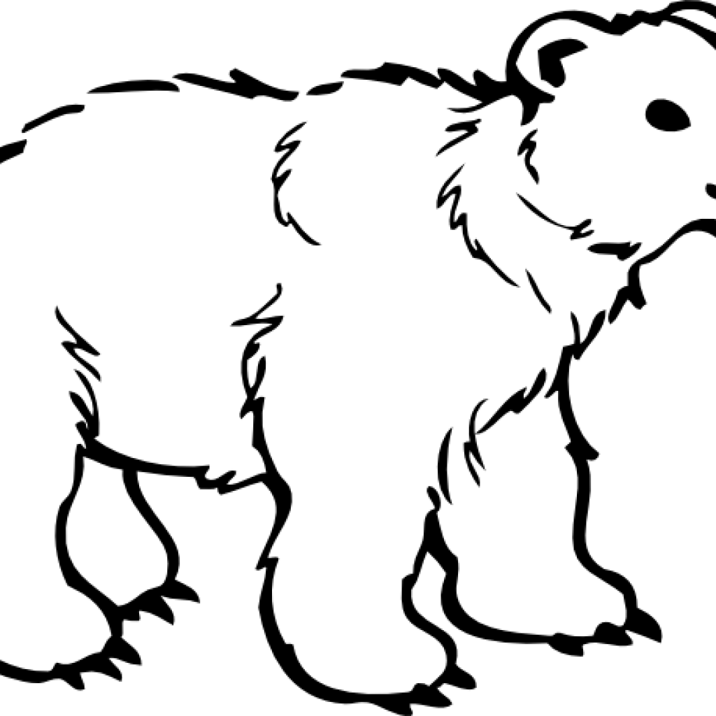 Polar Bear Clipart Free 19 Polar Bear Graphic Free - Polar Bear Black And White (1024x1024)