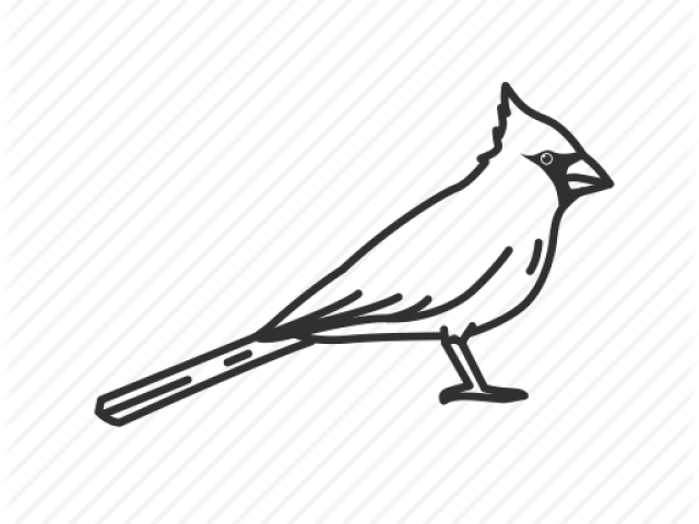 Songbird Clipart North Carolina - Illustration (640x480)