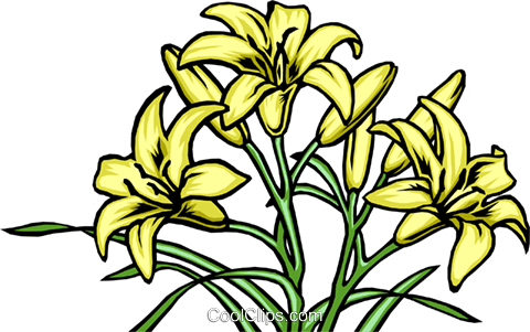 Lilies Royalty Free Vector Clip Art Illustration - Lilies Royalty Free Vector Clip Art Illustration (480x301)