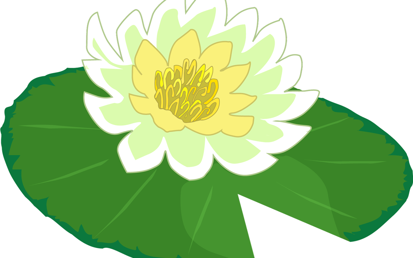 White Flower Water Lily Clipart The Cliparts Png Clipartix - Water Lily Flower Clipart (1368x855)