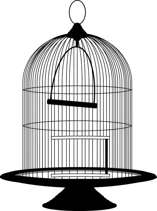536 X 720 2 - Bird In Cage Png (536x720)