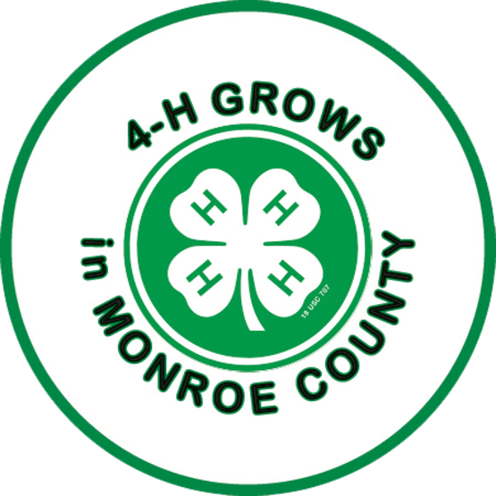 Check Out The Latest 4-h Eblast Update - Horse (555x555)