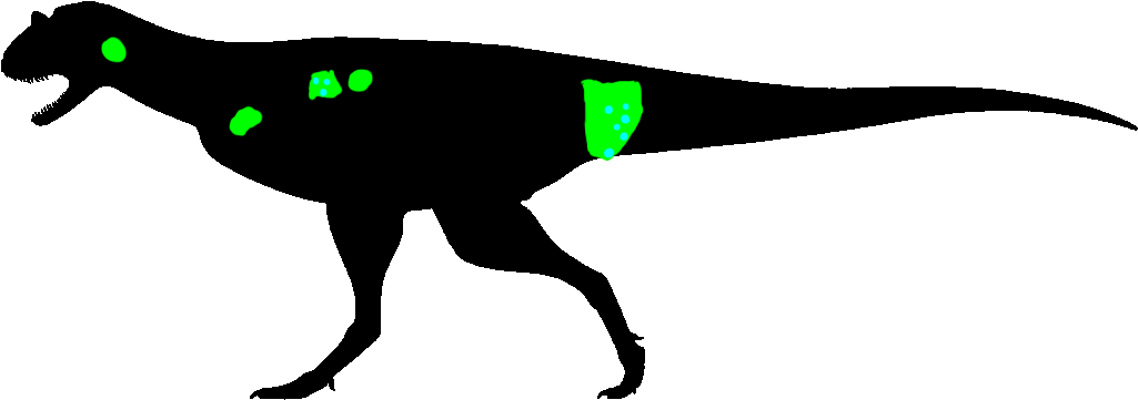 Silhouettes Clipart Carnotaurus - Did Abelisaurus Have Feathers (1059x396)