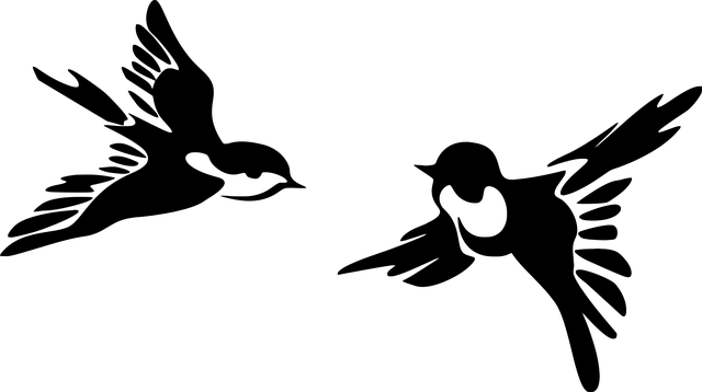Flying Bird Silhouette Drawings (640x358)