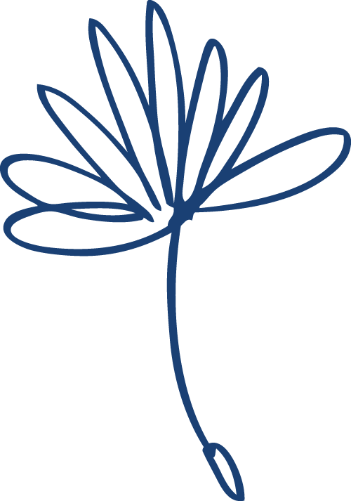 Mental Health Merthyr Valleys Cognitive Behaviour Therapy - Mental Health Merthyr Valleys Cognitive Behaviour Therapy (500x713)