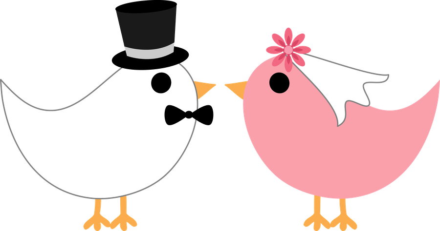 Birds ‿✿⁀○ - Clipart Pajaritos Novios (900x474)