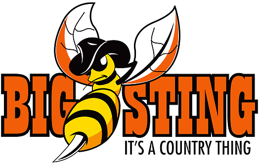 The Big Sting - Hornet (524x336)