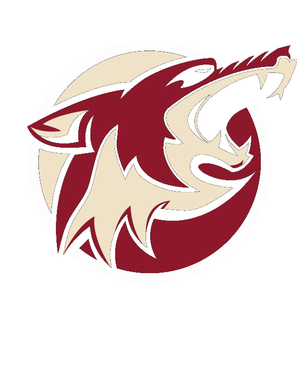 Stinging Insects - Illustration (630x786)