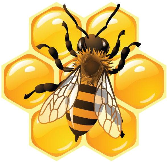 Bee Clipart, Clips, Bee Keeping, Images Of Bees, Honey - Bee And Honeycomb Animation (600x572)