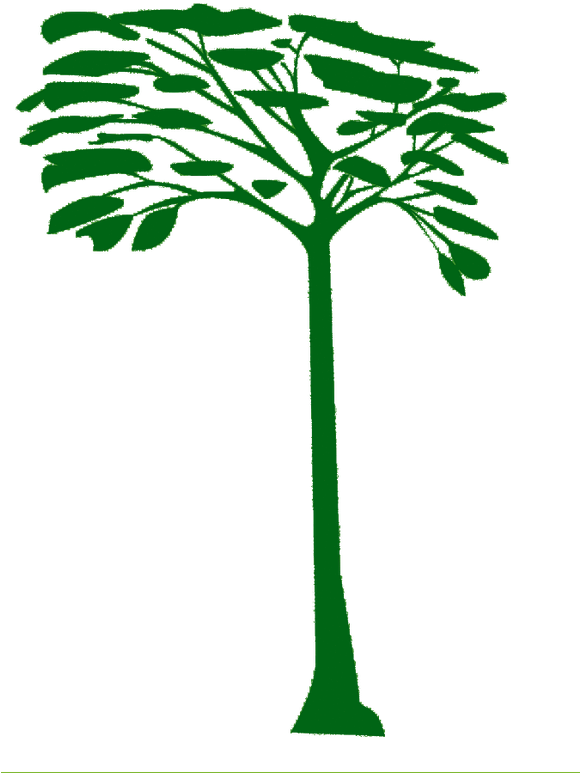 Un Poco Del Chocó - Silhouette (579x806)