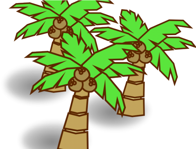 Coconut Clipart Large - Tree Cartoon Images Hd (640x480)
