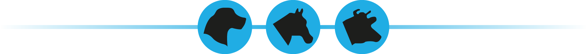 Joust - Joust (2042x189)