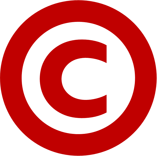 George S - Speed Limit Sign In India (624x620)