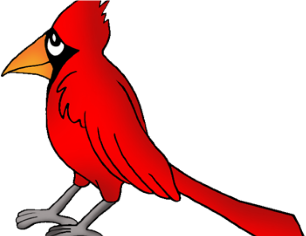 Songbird Clipart North Carolina - West Virginia State Bird Cartoon (640x480)