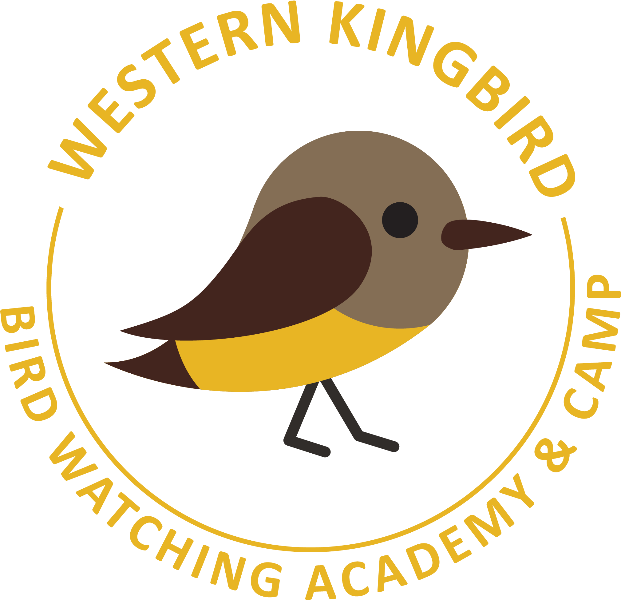 The Western Kingbird - Old World Flycatcher (2562x2541)