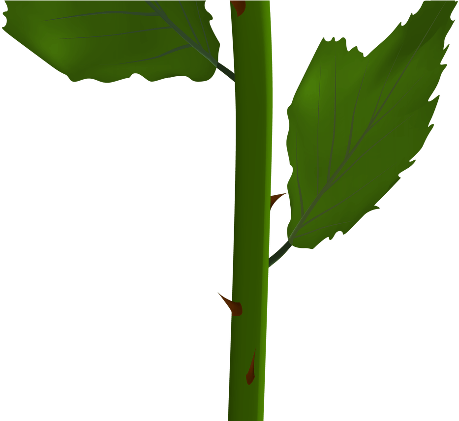 Purple Rose Clip Art Image Primavera Hello Spring Pinterest - Swamp Chestnut Oak (1368x855)