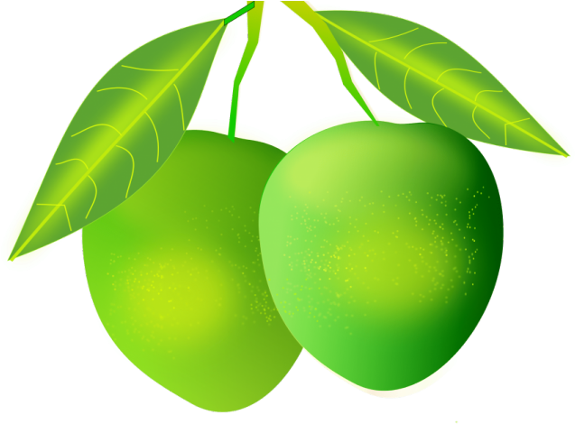 Mango Clipart Ripe Mango - Raw Mango Png (640x480)
