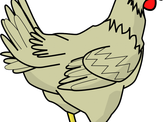 Crown Clipart Chicken - Chicken Cartoon Gif Png (640x480)