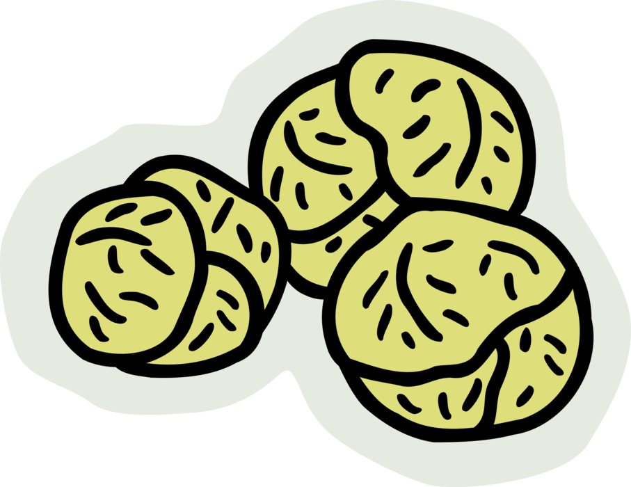 Vector Illustration Of Brussels Sprouts Small Cabbage - Xiaochi (907x700)