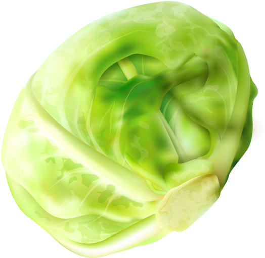 Cabbage (715x715)
