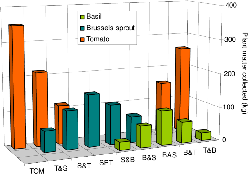 Total Aboveground Fresh Weight Of Tomato, Brussels - Diagram (850x594)