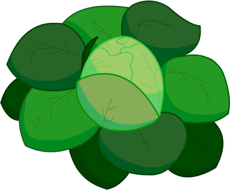 Brussels Sprout (750x750)