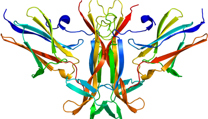 Global Nt 3 Growth Factor Receptor Market 2019- Array - Trkb Receptor (735x400)