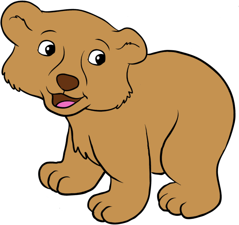 Medveď Tisk, Zoo Animals, Bunnies, Clip Art, Stamps, - Cartoon (800x765)