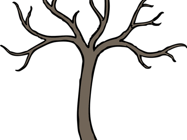 Tree Clipart Clipart Lot Branch - Cartoon Tree Branch Drawing (640x480)