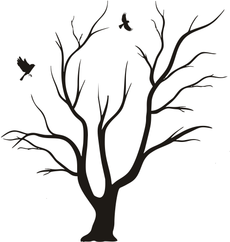 Arbol Sin Hojas Para Pintar - Shadow Of A Tree Drawing (600x600)