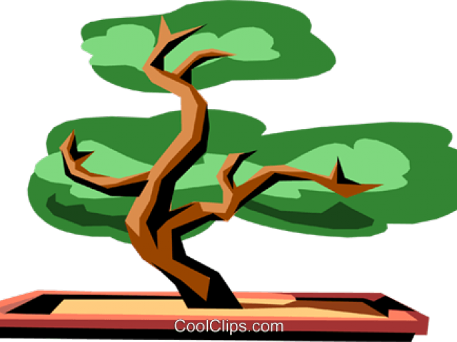 Bonsai Clipart Old Tree - Cartoon Bonsai Tree Png (640x480)