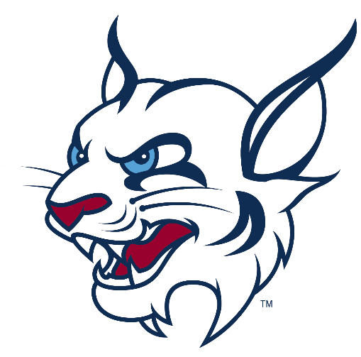 Bobcat - St Thomas University Logo Florida (509x503)