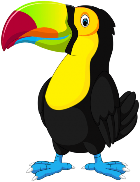 Free Png Download Toucan Cartoon Clipart Png Photo - Toucan Cartoon Transparent (480x627)