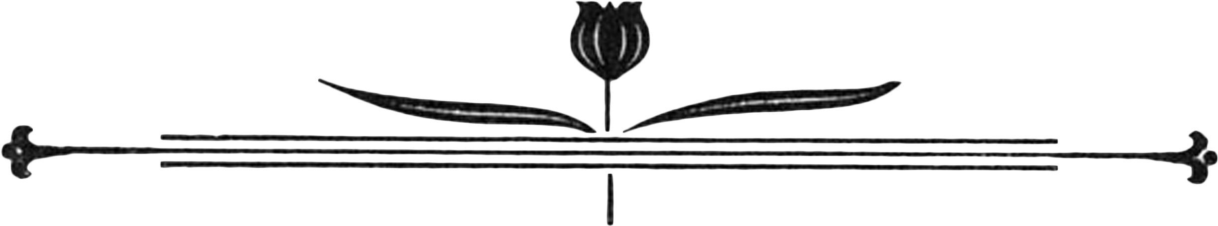 Tulip Border Copy - Tulip (2500x554)