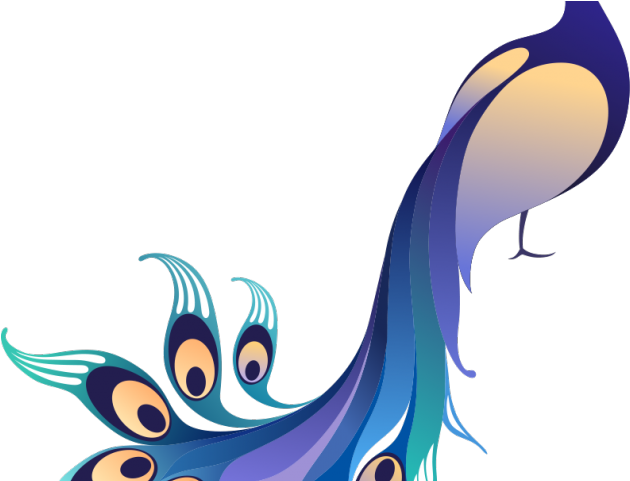Peafowl Clipart Indian Peacock - Peacock Images Png File (640x480)