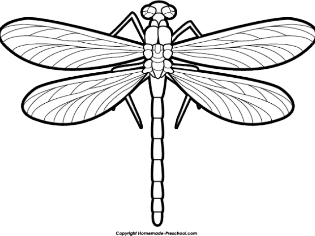 Dragonfly Clipart Hope - Clipart Of A Dragonfly (640x480)