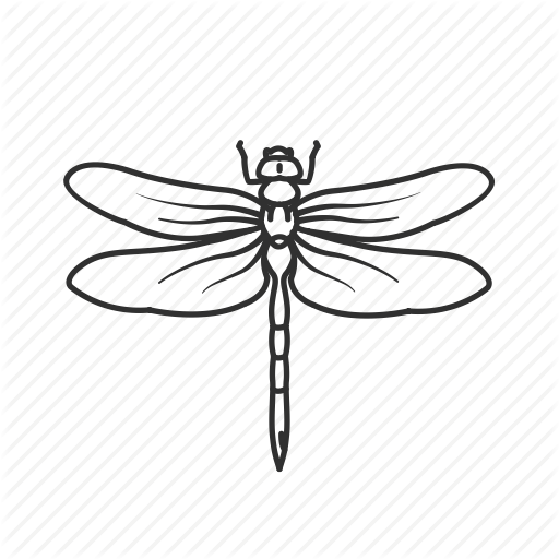 Clip Art Royalty Free Download Insects Essentials By - Transparent Dragonfly Drawing (512x512)