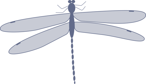 Dragonfly Damselflies Insect Computer Icons Drawing - Dragonfly Clip Art (592x340)
