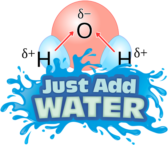 Just Add Water Png (566x480)