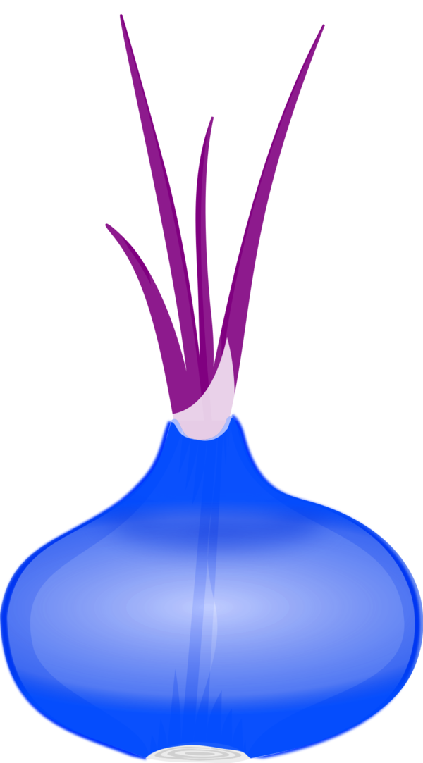 Onion Clip Art - Onion Clip Art (600x1083)