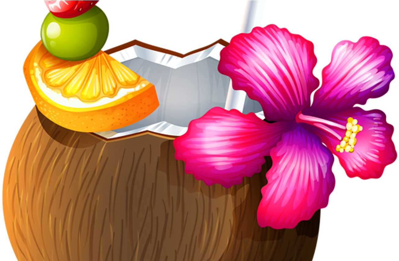 Luau Coconut Clip Art World Wide Clip Art Website - Coconut Clipart Transparent Background (1368x855)