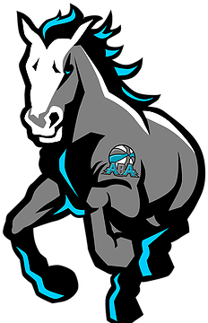 Syracuse Stampede Logo By Big Drew Graf - Syracuse Stallions (354x367)