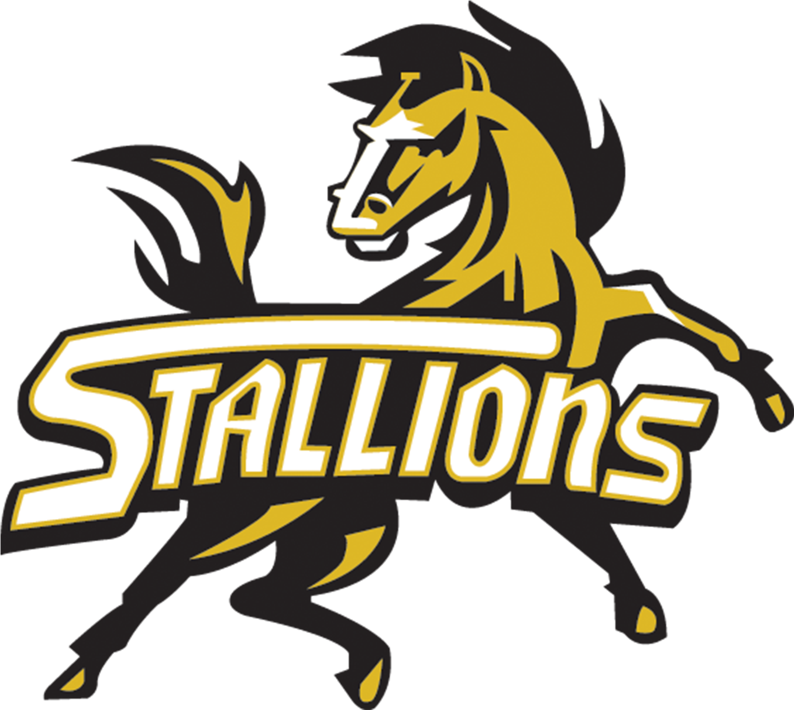 San Juan Hills High School (1600x1600)