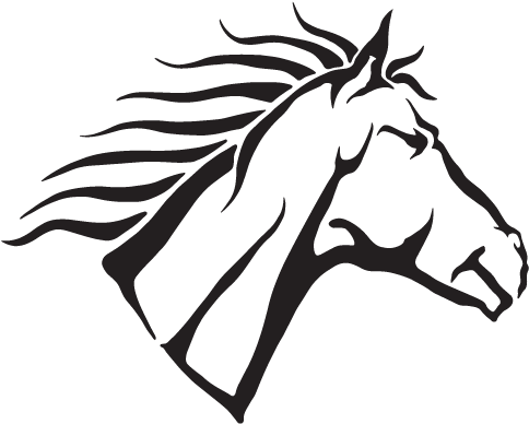 Stallion Capital Management - Mane (500x404)