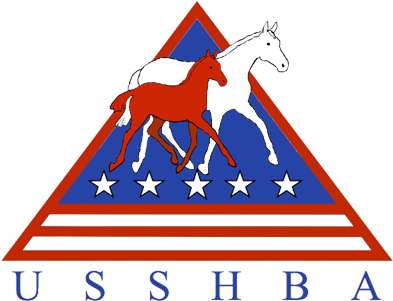 Usshba - Stallion (400x317)