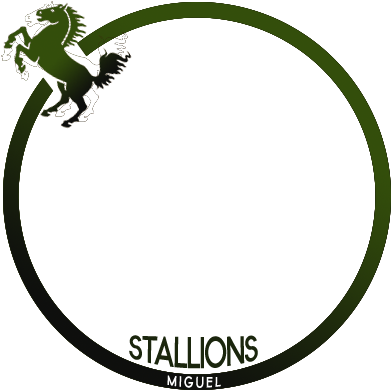 Miguel Stallions - Cartoon Black Horse (400x400)