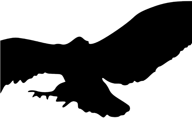 Vulture Clipart Flying - Silhouette Of Owls Flying (640x480)