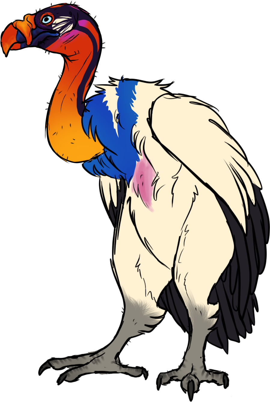 King Vulture By Mute-owl - King Vulture Clipart (898x1336)
